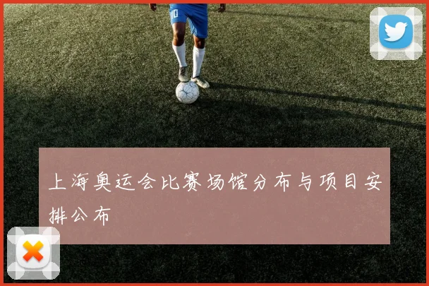 上海奥运会比赛场馆分布与项目安排公布