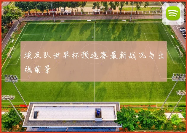 埃及队世界杯预选赛最新战况与出线前景