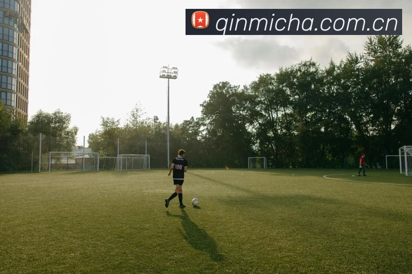 bob手机网页登录入口(中国)官方网站全站App